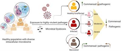 Single cell genomics based insights into the impact of cell-type specific microbial internalization on disease severity